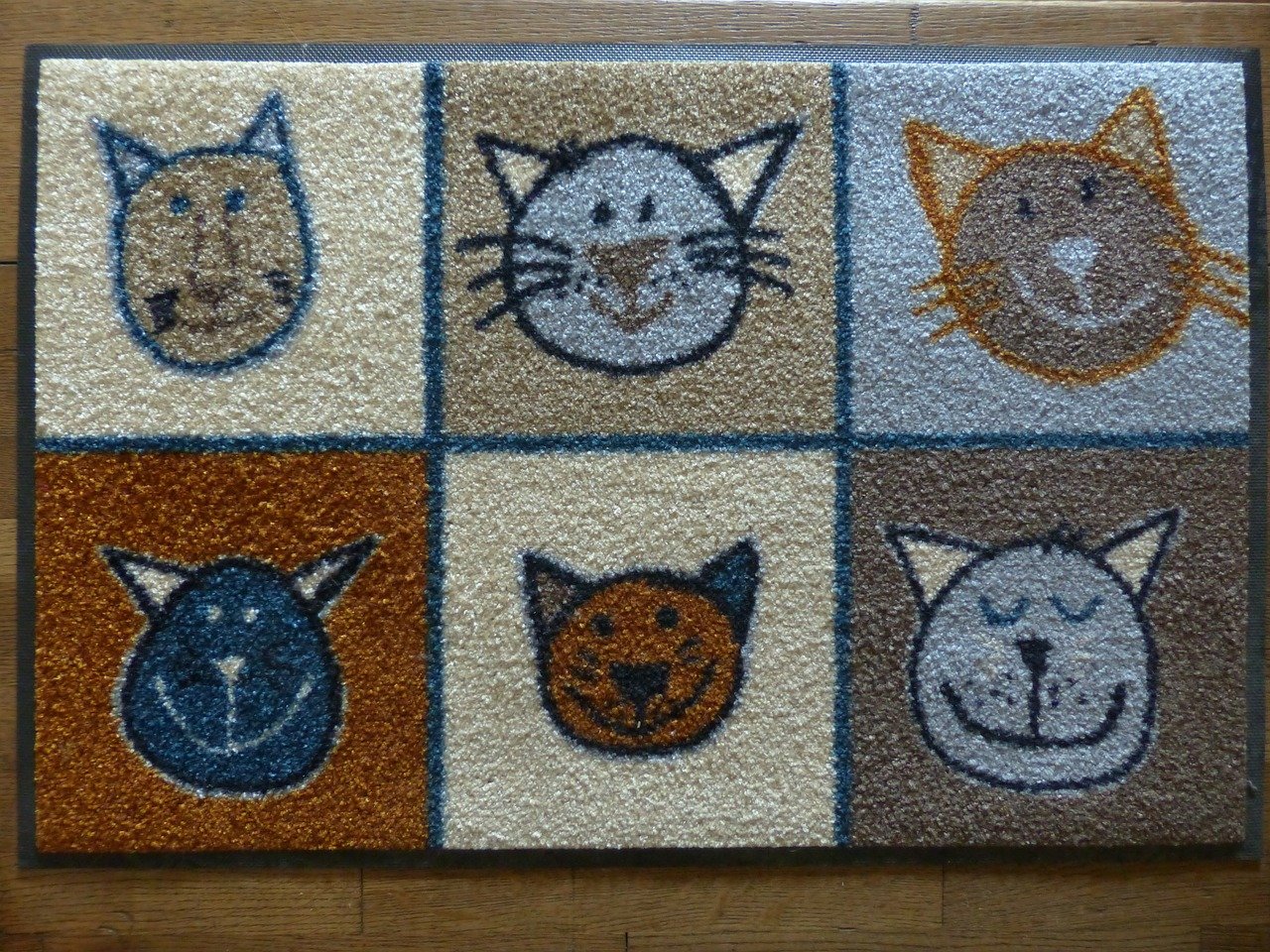 Photo of a floor mat on timber floor with 6 cats printed on it