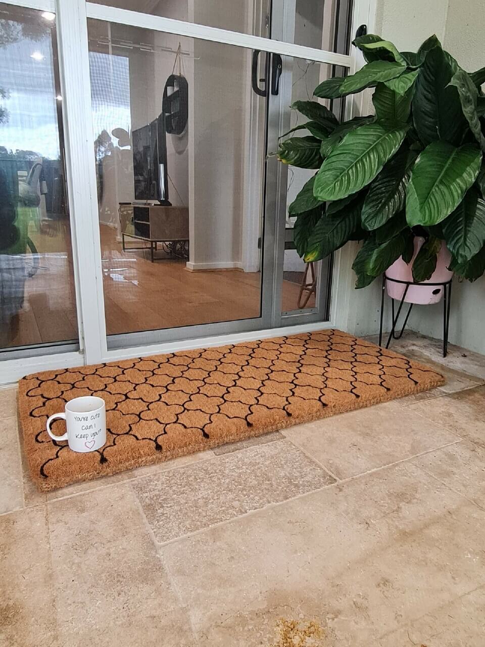 DEXI Indoor Doormat Front Door Mat, Absorbent Non-Slip Entry Rug, Mach –  Dexi